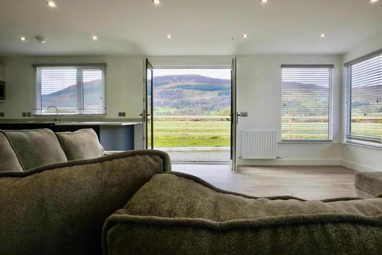 ניוארי Castle View Chalet By Clonlum Cottages מראה חיצוני תמונה